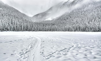 zasněžený les, zimní krajina, mount currie, před naším letopočtem, Sněhové stromy, klidná zasněžená, zmrazené pole, zimní scenérie, horský výhled, sněhové stopy, Přírodní krásy