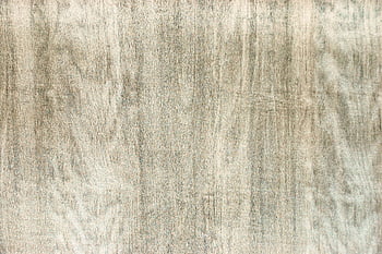 texture, background, tree, sample, annotation, art, blue, rain, nature, material, structure
