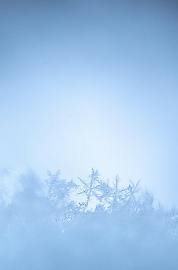 snowflake, winter, snow, cold, nature, frozen