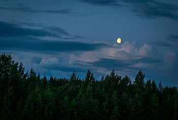 森の上の月、 夜間、 穏やかな月明かりの森、 曇り夜空、 自然シーン、 月明かりのシーン、 夜の森、 月と雲、 自然の風景、 静かな夜