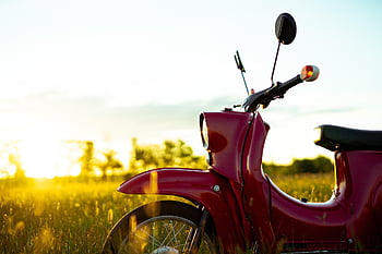 koloběžka, západ slunce, červený motor, trávy, motocykl, venkovní, louka, doprava, klasický, retro, Příroda