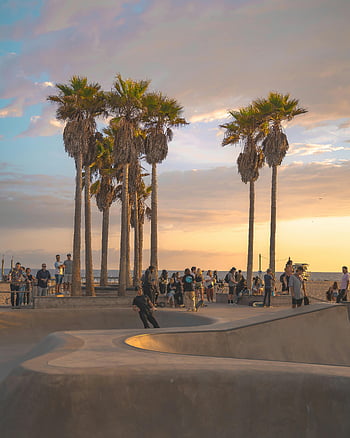 Venice Beach, skate park, skateboarders, palm trees, vibrant sunset, Los Angeles, California, skateboarding, outdoor recreation, beach scene, sunset photography