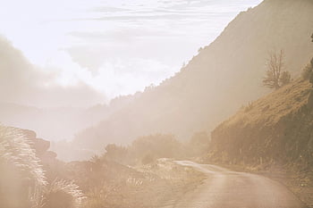 Bergstraße, schmalen Pfad, Rocky Mountains, bewölkter Himmel, Morgennebel, Gelassene Reise, malerische Reise, ruhige Straße, Berglandschaft, szenische Ansicht, neblige Berge
