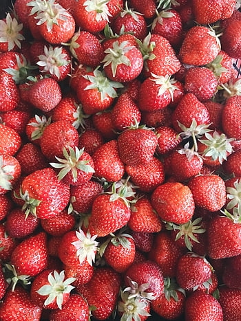 red strawberries, fresh strawberries, juicy strawberries, strawberry fruit, green leaves, vibrant strawberries, close-up strawberries, strawberry lot, red fruit, fresh fruit, juicy fruit