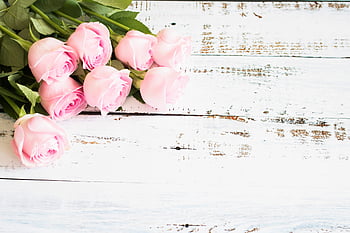 rosa, Rose, rustico, tavolo, distesa piatta, fiori, San Valentino, amore, romantico, mazzo, nozze