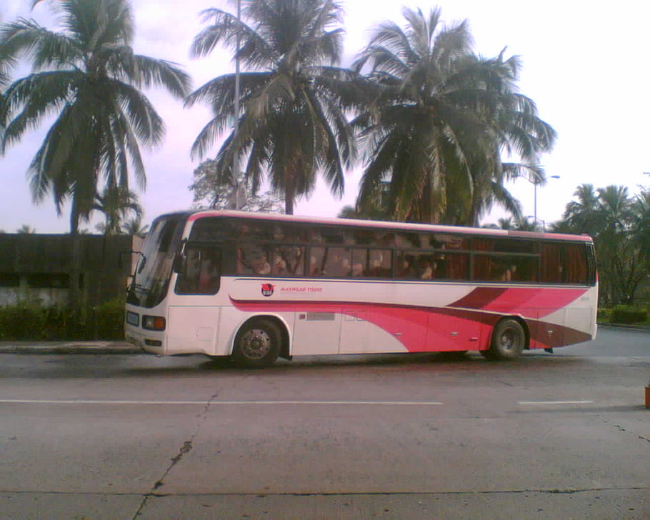 Maynilad Tours, turistický autobus, Komplex CCP, Mitsubishi Fuso, Aero Panda, Filipíny, PBPA, Asociace fotografů filipínských autobusů, autobus, palmy, silnice