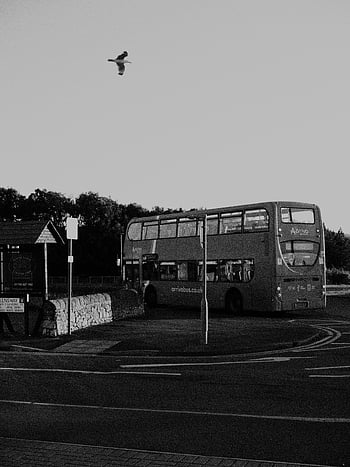 monochrome image, double-decker bus, parked bus, bird flying, nearby bird, Arriva bus, bus stop, stone wall, tree line, road markings, street scene