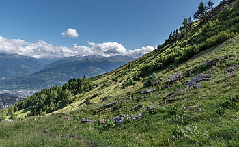 อัลไพน์, ภูเขา, ประเทศสวิสเซอร์แลนด์, Valais, ทุ่งเลี้ยงสัตว์, ภูเขาแอลป์, ภูมิประเทศ, ธรรมชาติ, แดดจัด