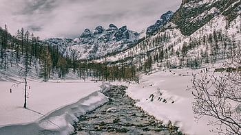 italy, outdoor, panorama, nature, mountain, alps, hiking, tourism, wood, trip, alpine