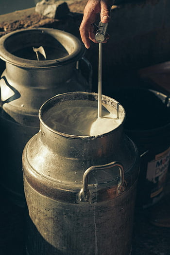 fresh milk, white foamy liquid, milk can, stainless steel can, pouring milk, rustic setting, close-up, dairy, milk production, farm, milk container