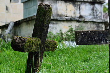 Hnědý kříž, tráva, Moss-Covered Cross, Starověký hřbitov, zarostlý hřbitov, tajemnou atmosféru, hřbitov kříž, Venkovní hřbitov, kamenný kříž, zelená tráva, starověký kříž