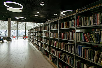 library interior, modern library, bookshelves, circular lights, quiet library, interior design, book collection, reading space, library shelves, bright lighting, contemporary library