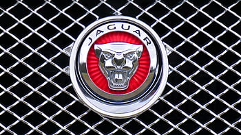 Jaguar Emblem, close-up, metallic chrome grille, red background, car emblem, Jaguar logo, automotive branding, luxury car, grille design, car detail, emblem close-up
