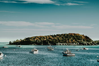 white boats, body of water, tranquil waterfront, serene bay, forested island, calm water, scenic view, natural landscape, outdoor scene, peaceful setting, boating area