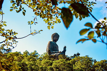 tan Tian Buddha, buddha, hong Kong, buddhism, wisdom, asia, buddha Purnima, buddhist, religious, meditation, temple