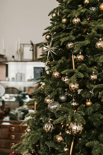 Brad de Crăciun, copac verde de Crăciun, aur, ornamente, Decorare interioară, Decor festiv, sezonul de vacanță, ornamente de Crăciun, Crăciun botezuri, Interior de Crăciun, Crăciun decoratiuni copac