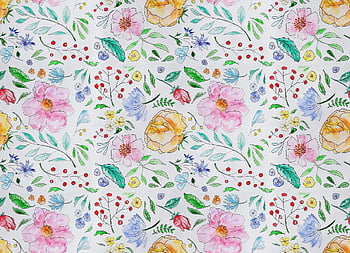 flori, natură, mugurii, fundal floral, floare tapet, grădină, mac wallpaper, laptop tapet, tapet gratuit, vară, primăvară
