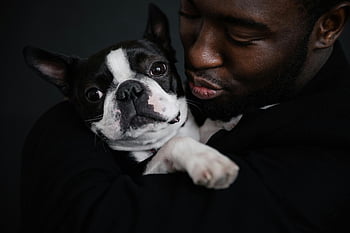 black man, Boston Terrier, happy man, cuddling puppy, studio setting, companionship, dog photography, pet owner, black and white dog, studio portrait, emotional connection