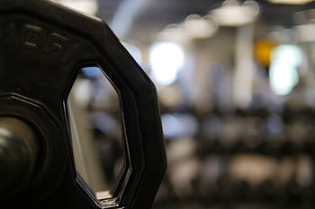 zvedací závaží, závaží, tělocvična, zdatnost, výcvik, cvičení, sport, síla, hmotnost, vejít se, svaly