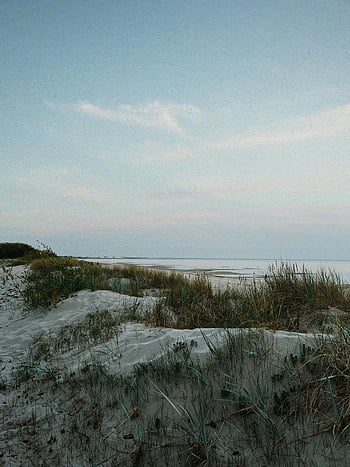 zandstrand, grasachtige duinen, avondlucht, ontspanning, Estland Beach, Serene strand, strand gras, kustlandschap, natuurlijke omgeving, strandduinen, rustig strand