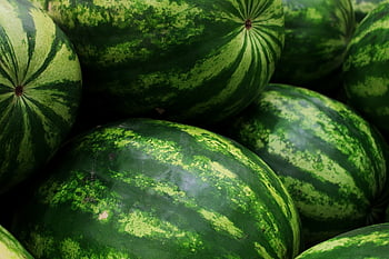 vodní melouny, ovoce, zelená, zdravý, jídlo, čerstvý, sklizeň, vyrobit, zralý, organický, čerstvé produkty