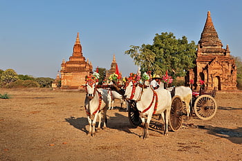 camminare per Bagan, stupa, birmania, Myanmar, tempio, buddismo, viaggio, Bagan, antico, tradizione, architettura
