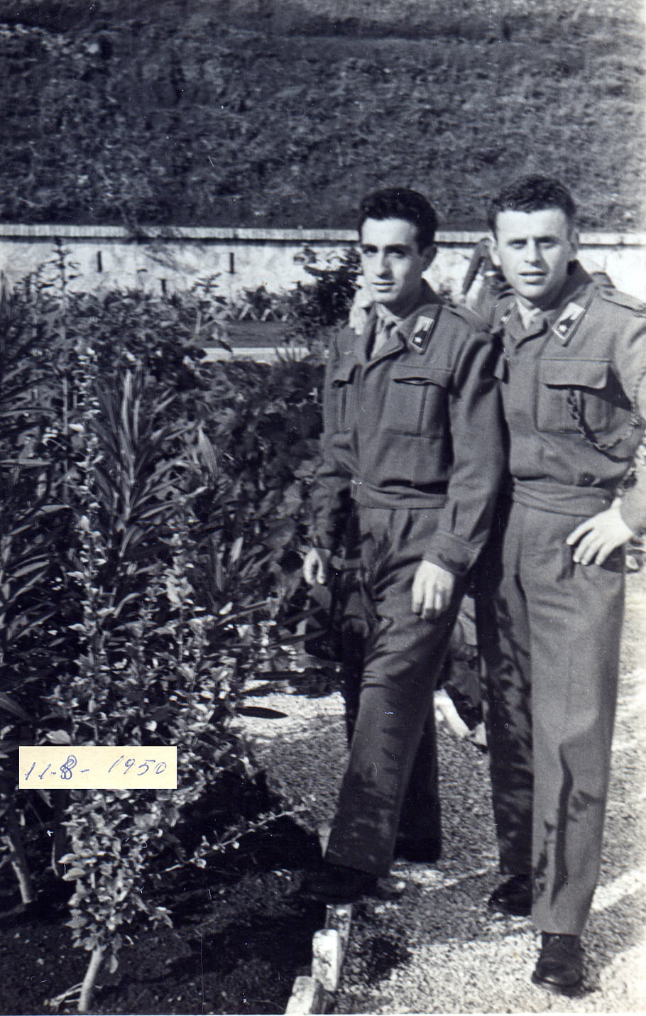 black and white, military uniforms, two men, standing, garden, plants, 1950, date, outdoor, vintage photo, soldiers