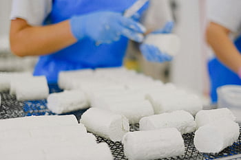 white cheese, dairy factory, workers in blue aprons, artisan goat cheese, cheese preparation, dairy production, food manufacturing, cheese factory, cheese making, dairy workers, cheese production