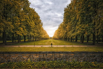 avenue, stromy, park, lesy, podzim, krajina, Příroda, symetrie, nebe, mraky