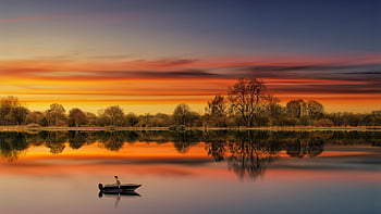 západ slunce, jezero, loď, Příroda, krásná příroda, soumrak, venku, cestovat, průzkum, les, příroda tapety
