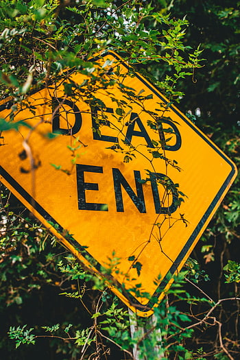Dead End -skylt, gult vägskylt, varningstecken, dold av löv, närbild foto, naturöverväxt, varningsskylt, vägmärke, utomhusfotografi, trafik skylt, återvändsgränd