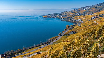 lavaux, lake Geneva, switzerland, vaud, nature, landscape, rural, outdoors, to Travel, exploration, viticulture