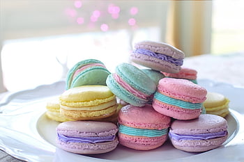 velikonoční, pastely, macarons, cookies, zachází, dezert, Lahodné, sušenky, cukroví, sladkost, cukrovinky