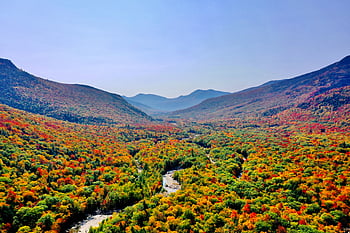 autunno, montagna, valle, cielo, orizzonte, colorato, foresta, paesaggio, all'aperto, viaggio, albero