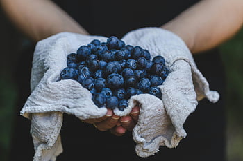 borůvky, čerstvé borůvky, Zralé borůvky, zdravé vaření, tkanina, osoba drží, hrst, čerstvé ovoce, zdravé jídlo, Blueberry recept, Borůvkové jídlo