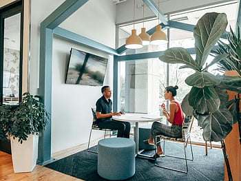 erkek ve kadın, modern ofis, meslektaşları tartışıyor, kapalı bitkiler, şık dekor, Ofis alanı, Profesyonel Toplantı, Sıradan Konuşma, Çağdaş tasarım, ofis ortamı, işyeri etkileşimi