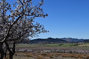 пейзаж, Мурсия, cañada de la cruz, Испания, природа, планина, Средиземно море, поле, селски