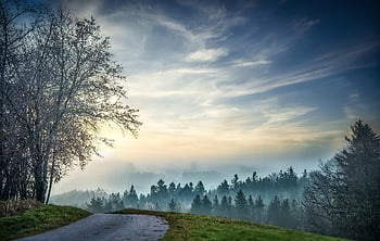 väg, träd, skog, solnedgång, fält, äng, natur, himmel, cirrus, trän, skymning