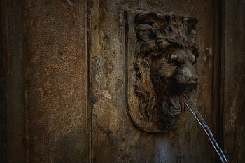 fontána, historický, kov, vodní paprsek, patina, detail, lví hlava