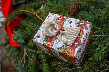 hediye, Noel, tatil, Noel ağacı, sürpriz, mevcut, dekorasyon, kutlama, mevsimlik, şenlikli, Noel zamanı