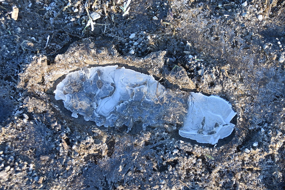 靴の跡、 泥だらけの地面の足跡、 氷の足跡、 足跡、 足、 通過の痕跡、 市場