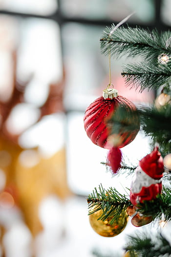 Christmas tree, decorated Christmas tree, baubles, red ornaments, gold ornaments, festive holiday atmosphere, indoor Christmas tree, holiday decorations, Christmas ornaments, Christmas baubles, festive decorations