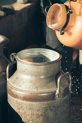 milk pouring, metal container, vintage metal, farm scene, close-up shot, dairy farm, milk jug, rustic container, farm equipment, milk transfer, vintage jug