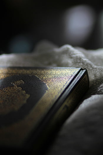 quran, cahaya, kerohanian, keagamaan, suci, bacaan, Islam, Qur'an, Allah, Book, Arab