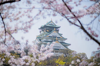 osaka hrad, třešňové květy, jaro, nádherný výhled, bílé mraky, zelená střecha, bílá budova, historický mezník, japonské architektury, jarní sezóna, Osaka Japan