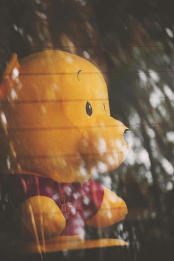 Winnie the Pooh, plush toy, whimsical shot, raindrops, window view, teddy bear, stuffed animal, indoor scene, rainy day, childhood nostalgia, toy photography