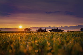 sun, sunrise, field, cabin, house, hut, morning, sky, mountains, switzerland, alpine