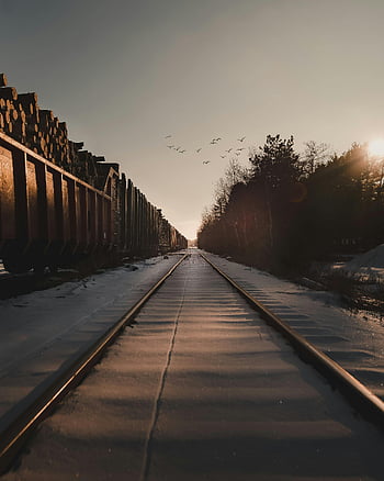 snow covered train track, winter scene, train tracks, sunset sky, birds flying, cold sunset, logs, railway, winter landscape, snow, train