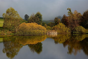 podzim, rybník, stromy, listy, Příroda, krajina, jezero, časná mlha, ráno