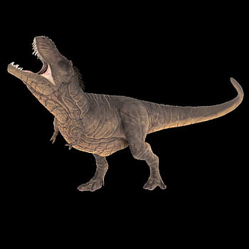 tirano saurio Rex, prehistórico, dinosaurio, jurásico, tiranosaurio, reptil, extinto, depredador